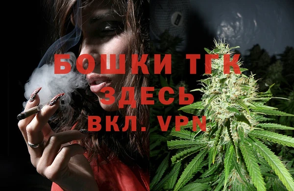прущие грибы Балахна