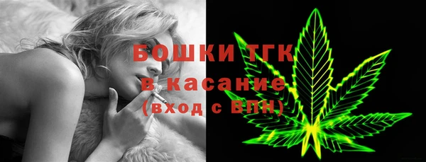 прущие грибы Балахна