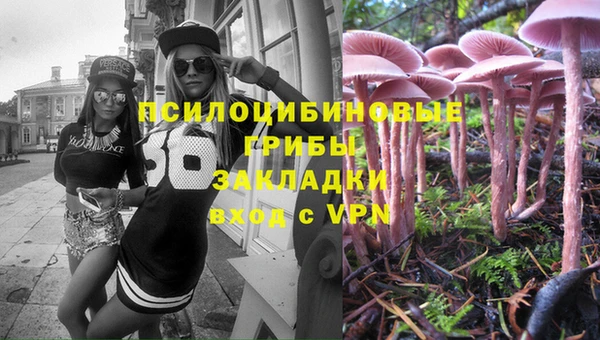 прущие грибы Балахна