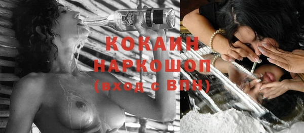 прущие грибы Балахна