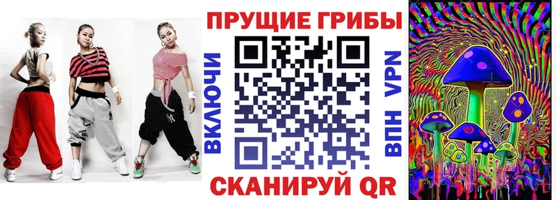 даркнет наркотические препараты  купить наркоту  Курганинск  Псилоцибиновые грибы MAGIC MUSHROOMS 